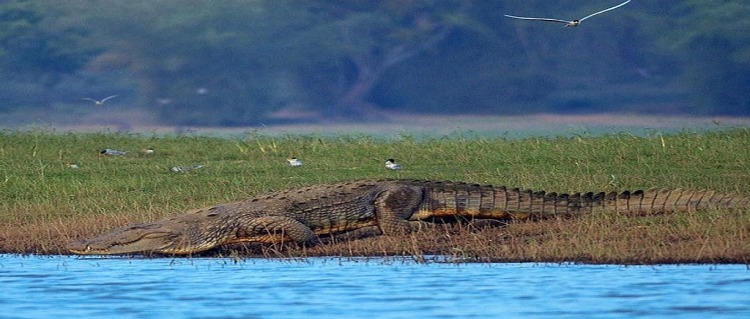 kabini national theme park