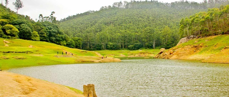 Mattupetty dam