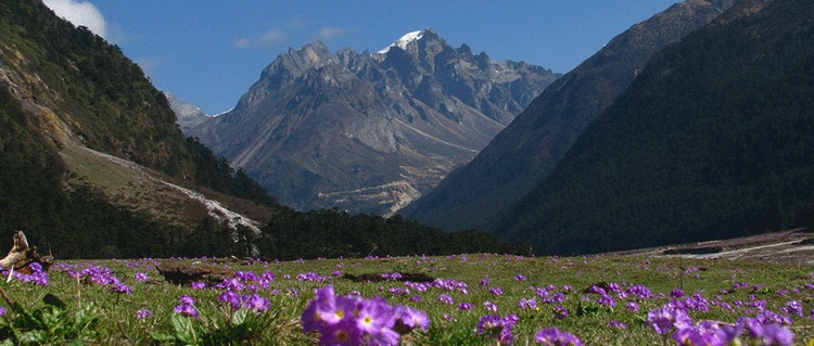 Gangtok Lachen Lachung Tour Packages