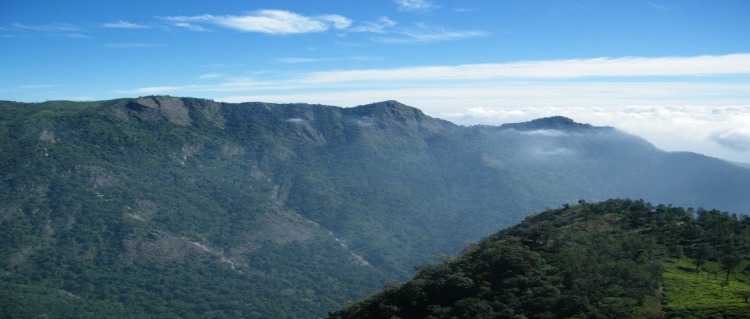 dolphin nose peak ooty